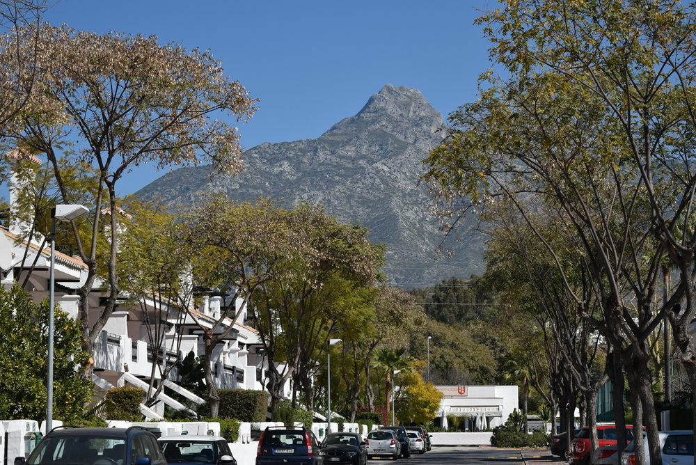 Apartamentos Y Casas Serinamar Marbella Эль-Анхель Экстерьер фото