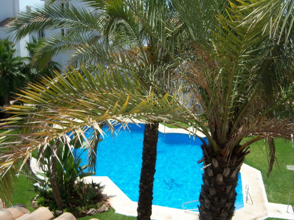 Apartamentos Y Casas Serinamar Marbella Эль-Анхель Экстерьер фото